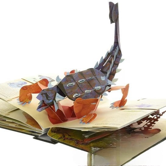 Encyklopedi om dinosaurier i 3D đ HARDCOVER