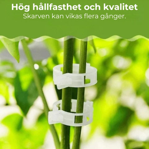 Växtklämmor (25 st)