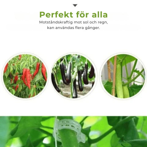 Växtklämmor (25 st)