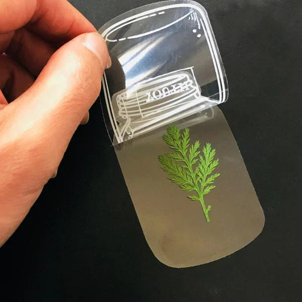 🍃 Transparenta naturklistermärken