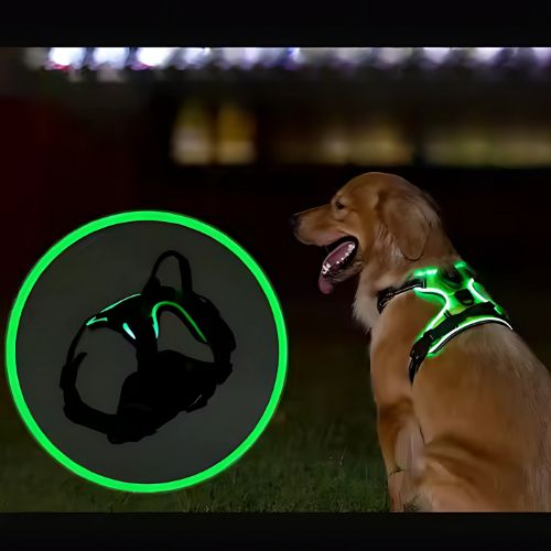 LED-sele | Självlysande Hundsele