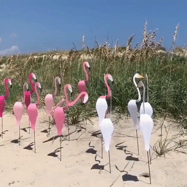 đŠ©En vacker FLAMINGO för trĂ€dgĂ„rden