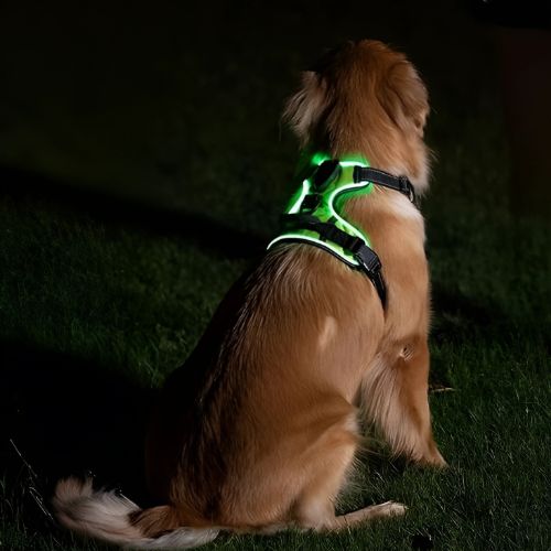 LED-sele | Självlysande Hundsele