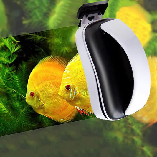 Magnetisk glasrengörare för akvarium
