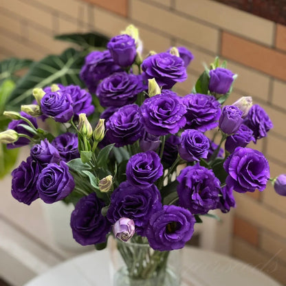 Eustoma – tagglösa rosor – frön (100 st) 💐