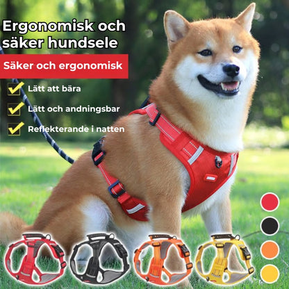 PROFFSIG HUNDSELE