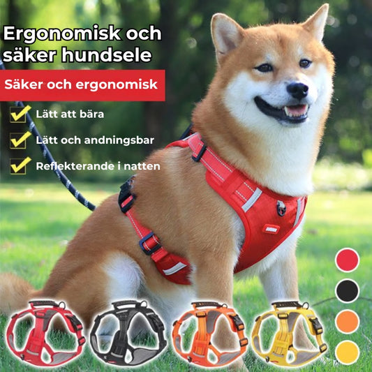 PROFFSIG HUNDSELE