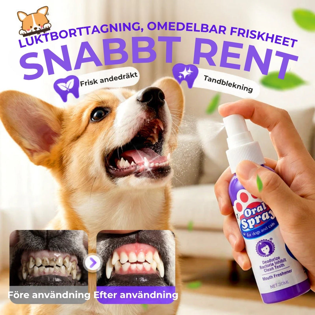 Tandrengöringsspray för husdjur