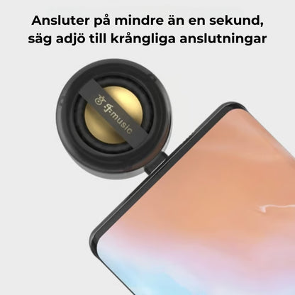 Bärbar minihögtalare