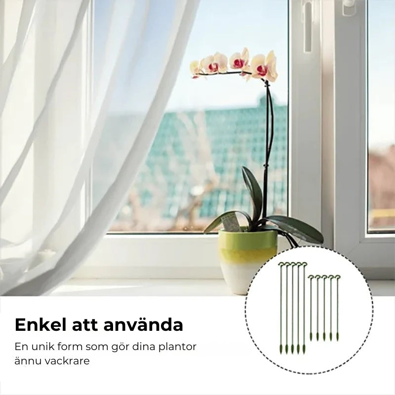 Stödpinnar för växter (10 st.)