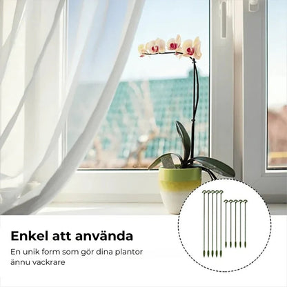 Stödpinnar för växter (10 st.)