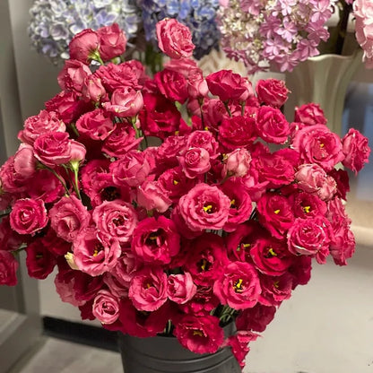 Eustoma – tagglösa rosor – frön (100 st) 💐