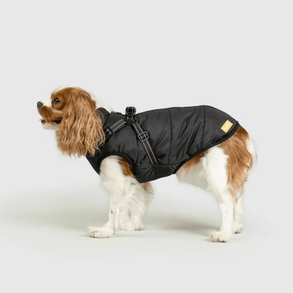 DoggyKings™ 3-i-1 hundjacka