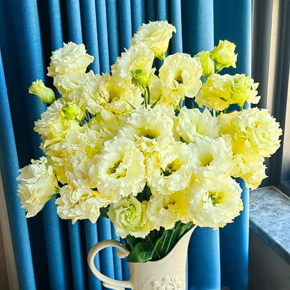 Eustoma – tagglösa rosor – frön (100 st) 💐