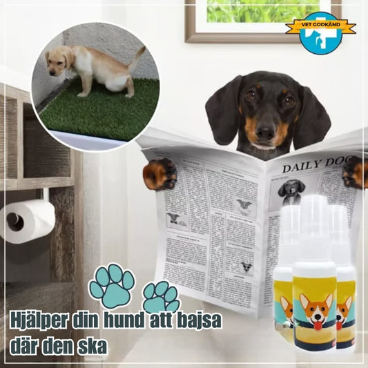 Träningsspray för valp