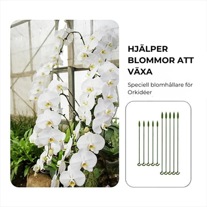 Stödpinnar för växter (10 st.)