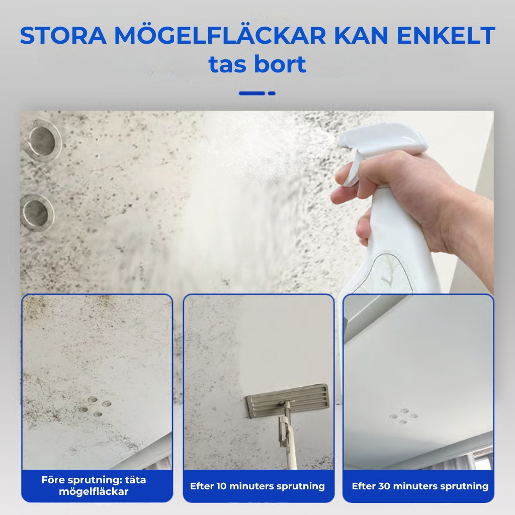 Snabbverkande Spray mot Mögel