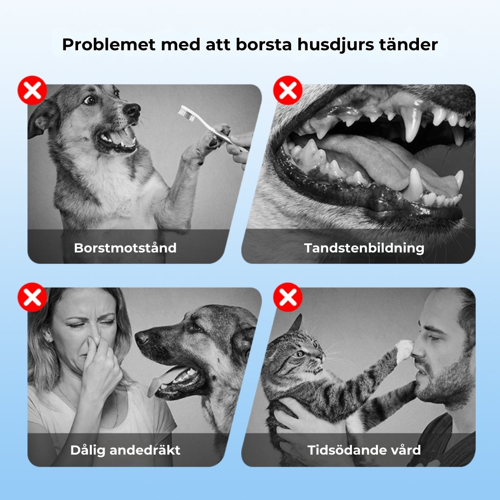 Tandvårdsspray för husdjur