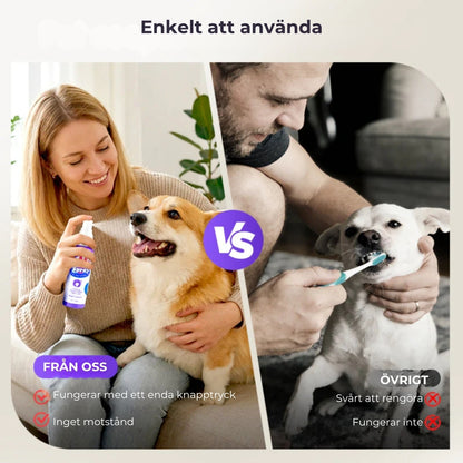 Tandrengöringsspray för husdjur