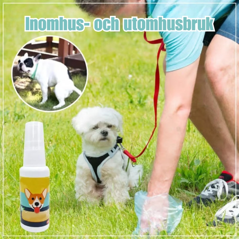 Träningsspray för valp