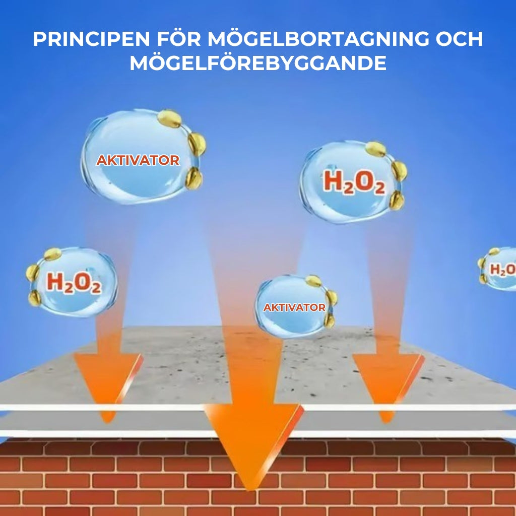 Snabbverkande Spray mot Mögel