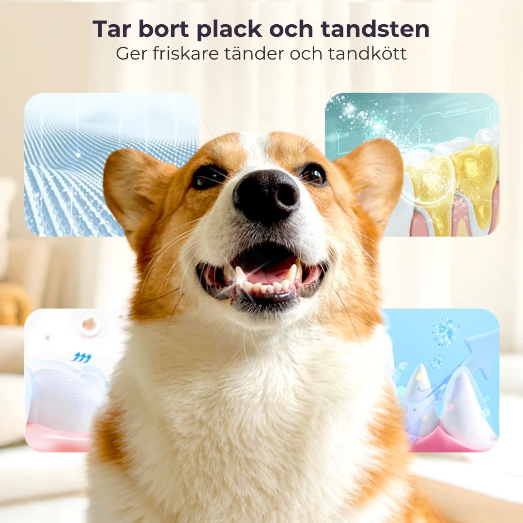 Tandrengöringsspray för husdjur