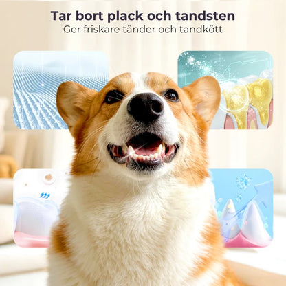 Tandrengöringsspray för husdjur