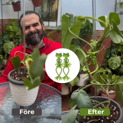 Grodformade växtstöd (5 st)