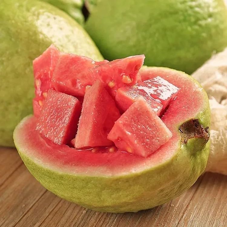Ekologiska rosa Guava Frön – 60 stycken