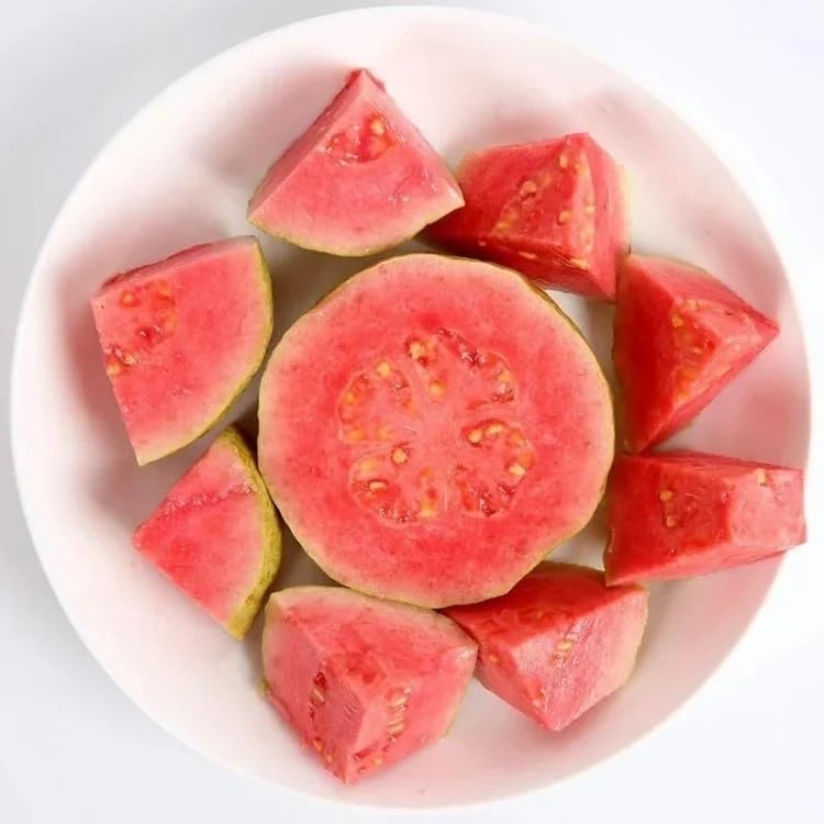 Ekologiska rosa Guava Frön – 60 stycken
