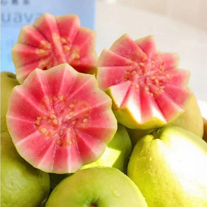 Ekologiska rosa Guava Frön – 60 stycken