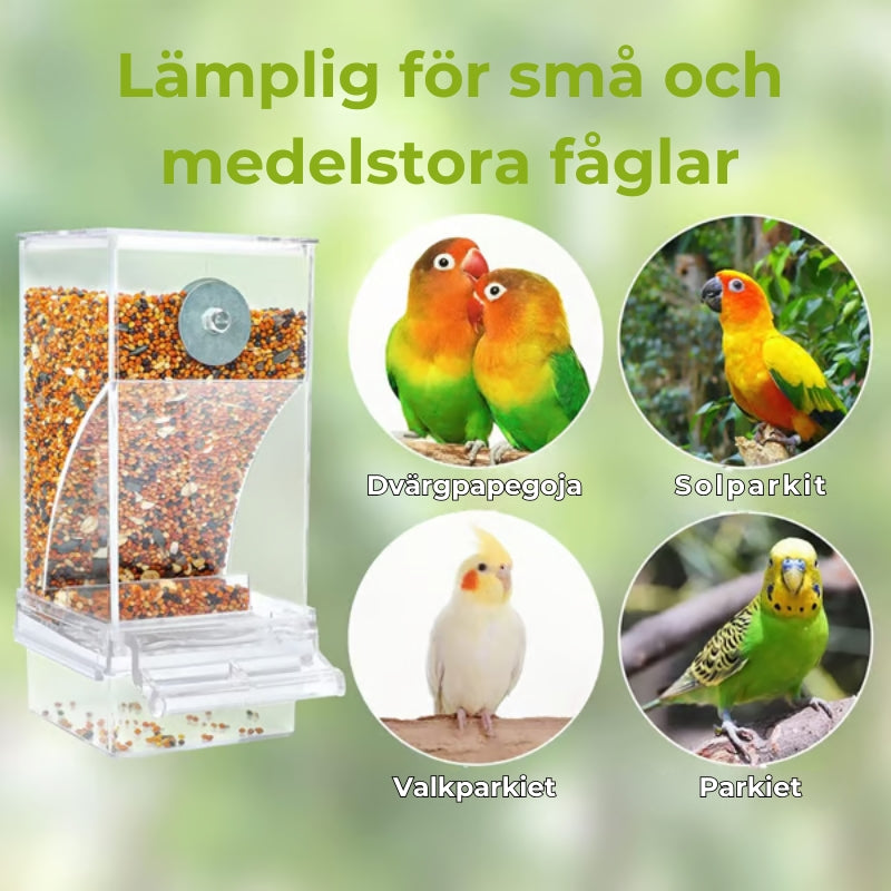 🔥Automatisk fågelmatare utan spill