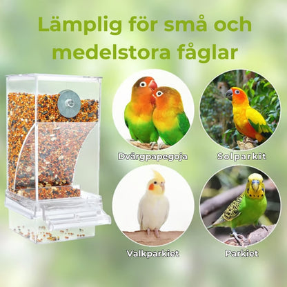 🔥Automatisk fågelmatare utan spill