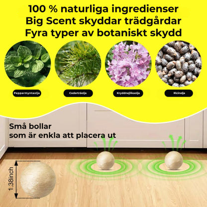 Gnagarsköld™ | Kulor (utan gift) som håller möss och råttor borta