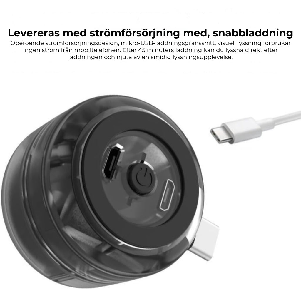 Bärbar minihögtalare