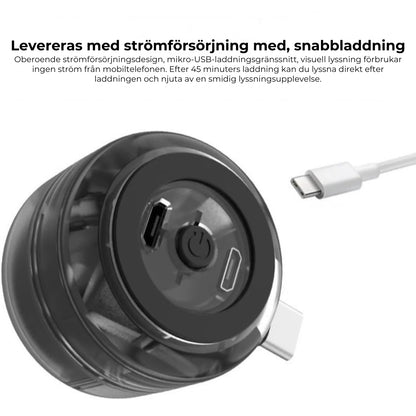 Bärbar minihögtalare