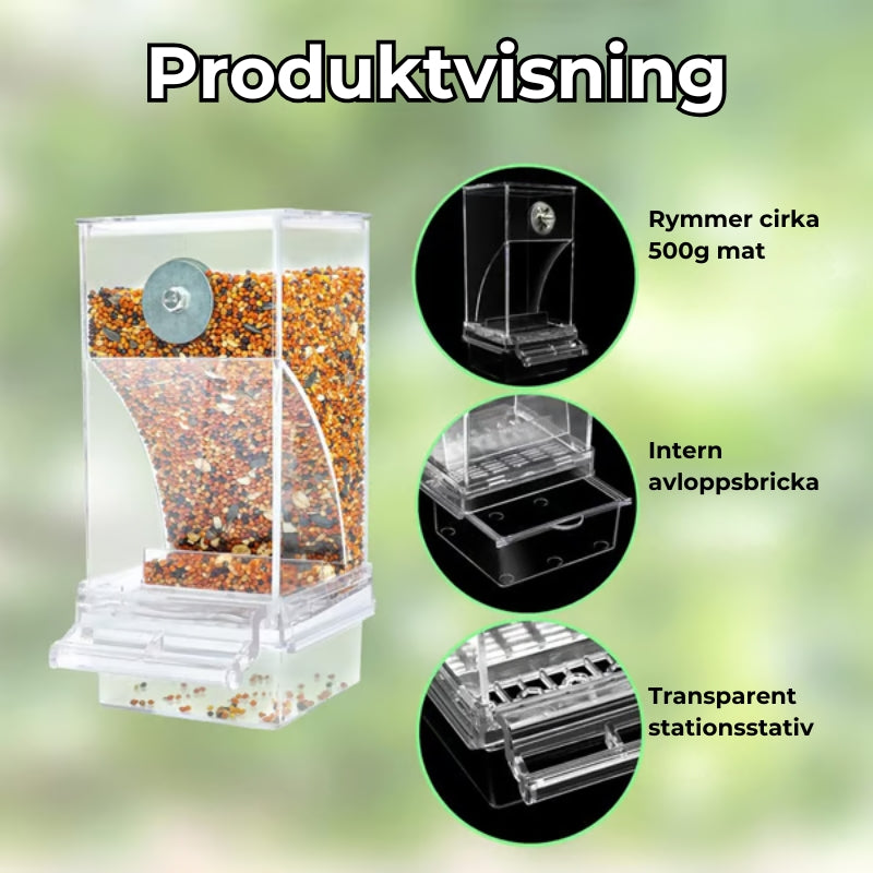 🔥Automatisk fågelmatare utan spill