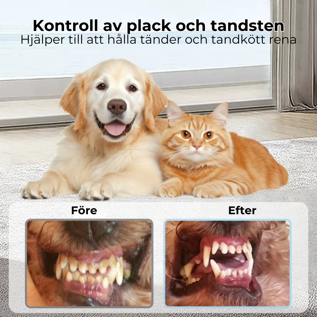 Tandvårdsspray för husdjur