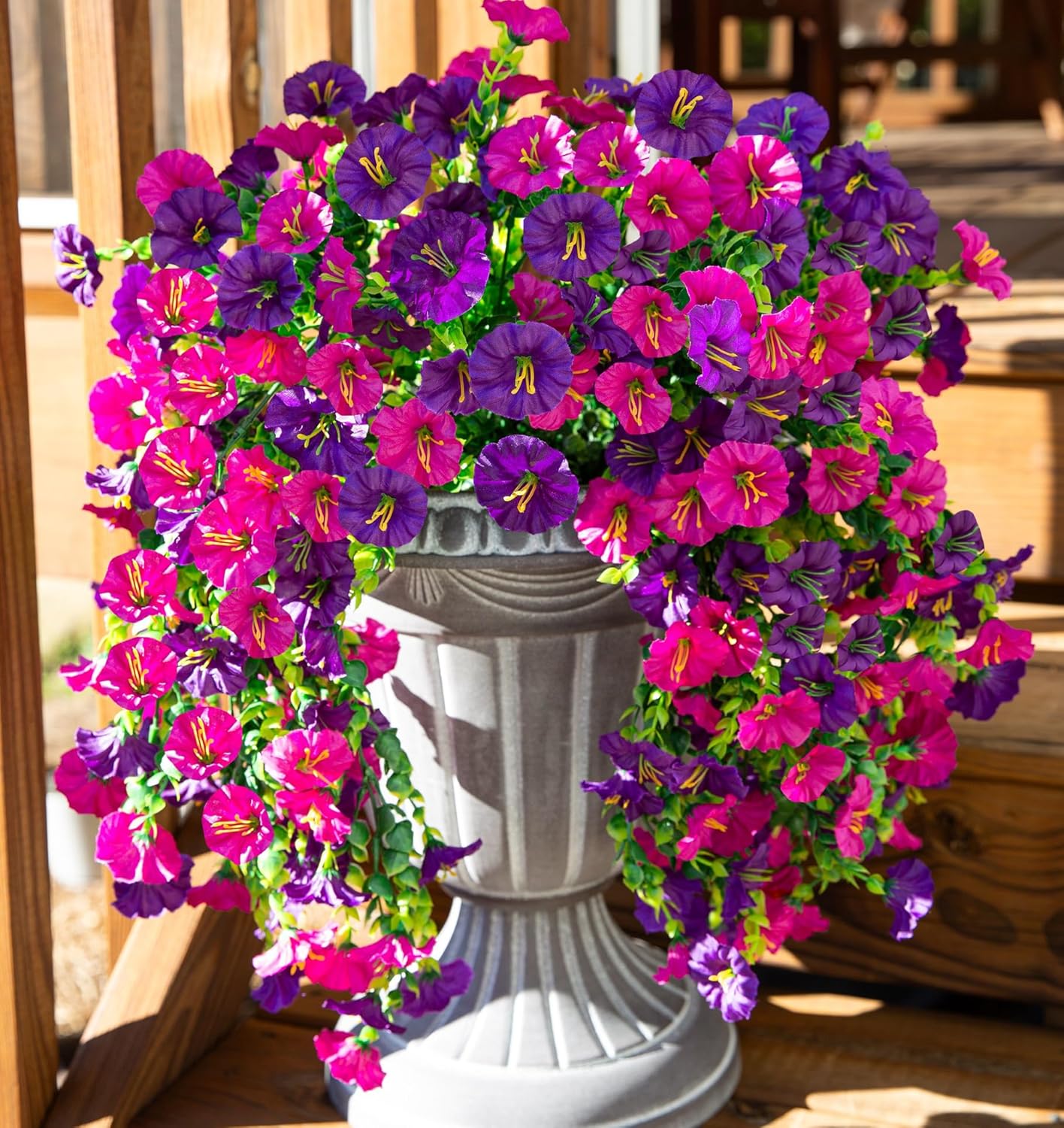 Morning Glory (Ipomoea tricolor)| UV-Beständig