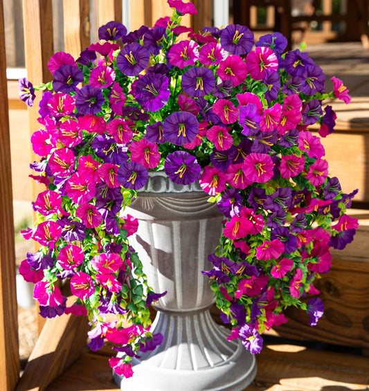 Morning Glory (Ipomoea tricolor)| UV-Beständig
