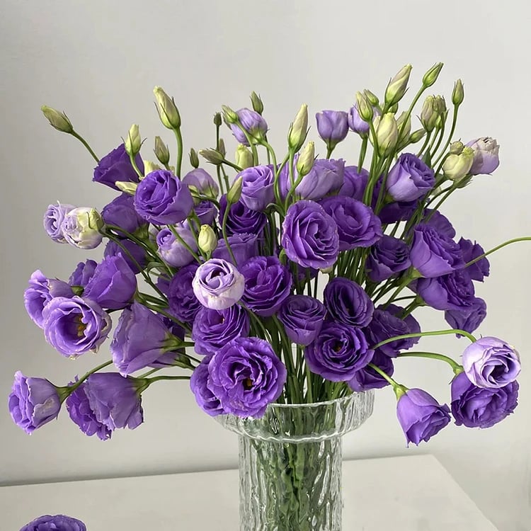 Eustoma – tagglösa rosor – frön (100 st) 💐