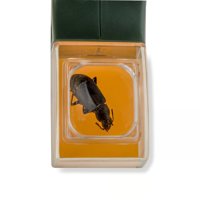 Insektsmikroskop