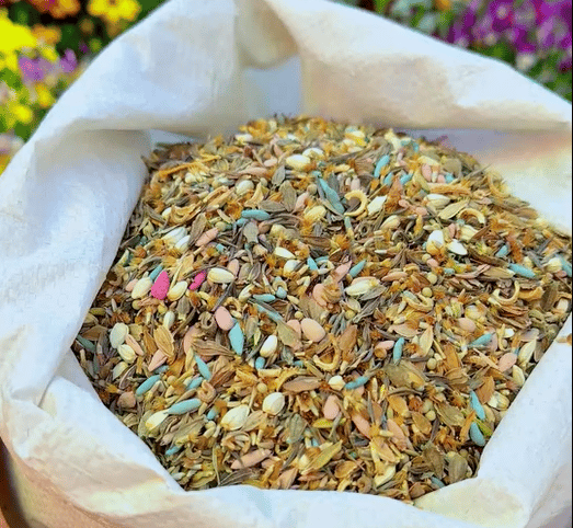 Färgglad fröblandning – över 60 sorter (1000 frön)