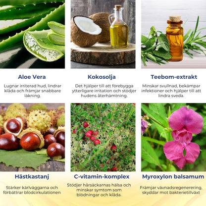 Snabbverkande örtbaserat spray mot hemorrojder