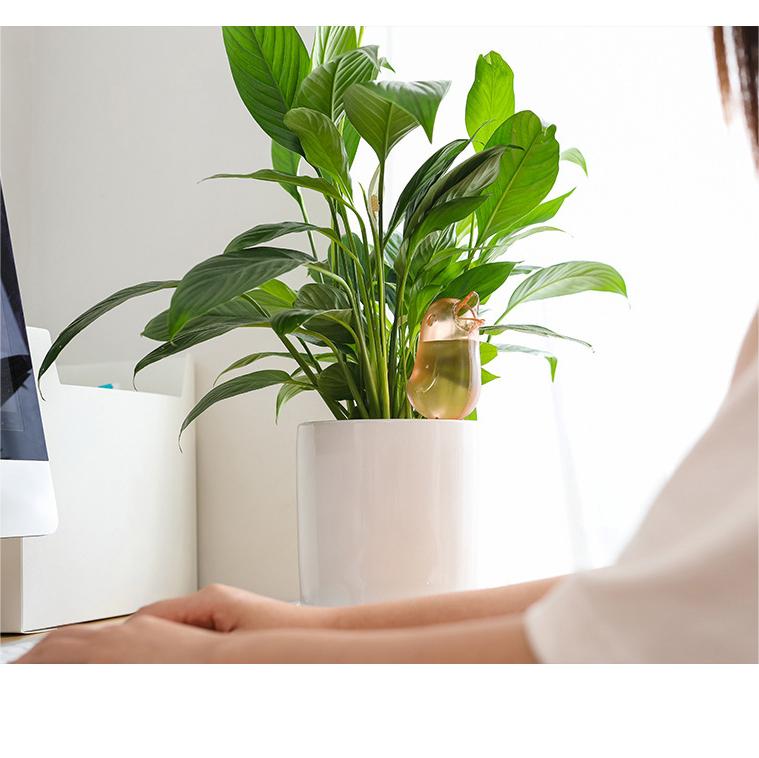 Automatisk bevattning för plantor fågel