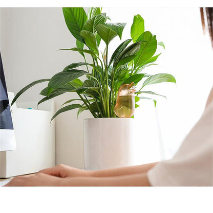 Automatisk bevattning för plantor fågel