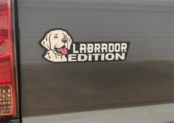 Hunddekal för bil