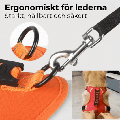 PROFFSIG HUNDSELE