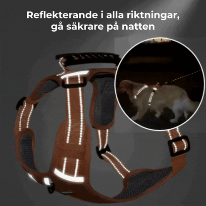 PROFFSIG HUNDSELE