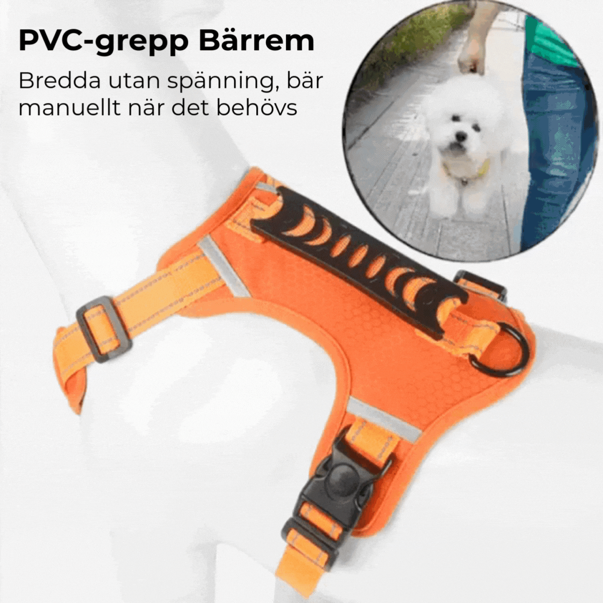 PROFFSIG HUNDSELE
